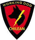 agenciadeempleossantiago_chileanworkingdogspa