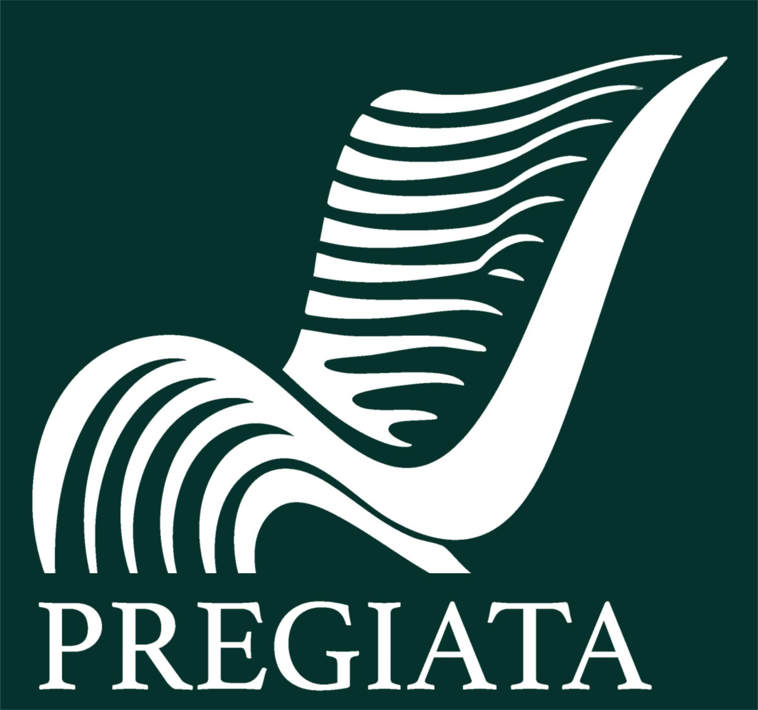 agenciadeempleossantiago_importadoraycomercialipregiataspa