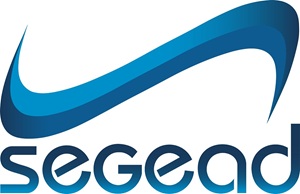 agenciadeempleossantiago_segead